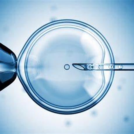 美国试管婴儿优势