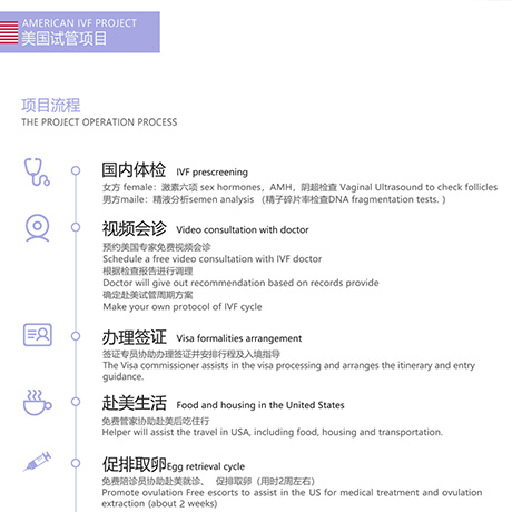 美国试管项目流程