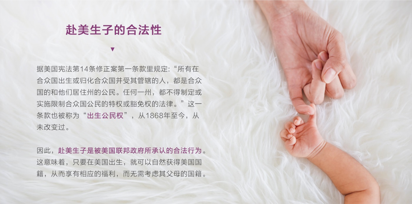 3赴美生子合法性.JPG