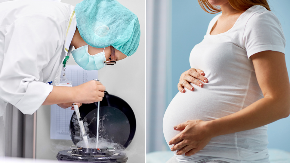 冻卵常见问题解答